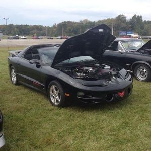 Meet your Posher, Josh